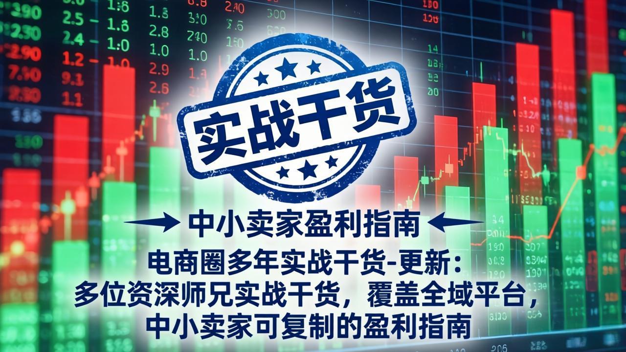 电商圈多年实战干货-更新5月10：多位资深师兄实战干货/覆盖全域平台，中小卖家可复制的盈利指南-时光云网创