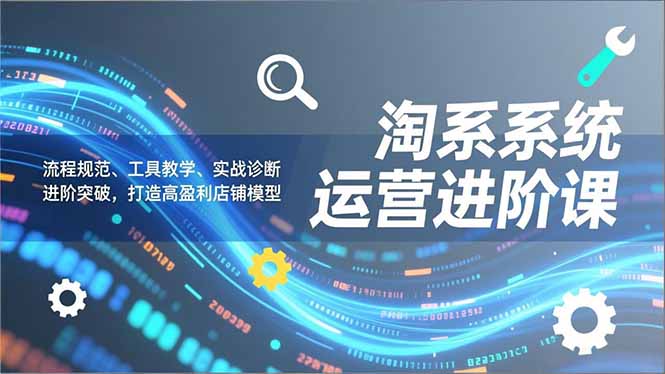 淘系系统运营进阶课2.0，流程规范、工具教学、实战诊断，进阶突破，打造高盈利店铺模型-时光云网创
