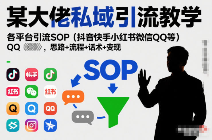 某大佬私域引流教学，各平台引流SOP(抖音快手小红书微信QQ等)，思路+流程+话术+变现(更新0708)-时光云网创