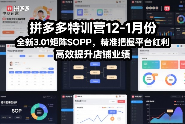 拼多多特训营12-1月份，全新3.01矩阵Sop，精准把握平台红利，高效提升店铺业绩-时光云网创