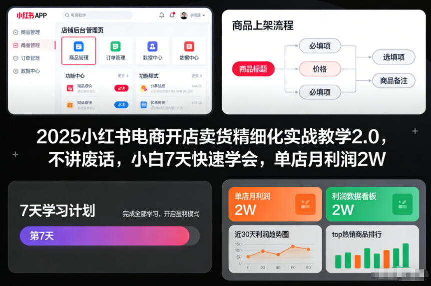 2025小红书电商开店卖货精细化实战教学2.0，不讲废话，小白7天快速学会，单店月利润2W-时光云网创