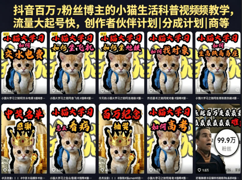 抖音百万粉丝博主的小猫生活科普视频教学，流量大起号快，创作者伙伴计划|分成计划|商单|收徒等-时光云网创