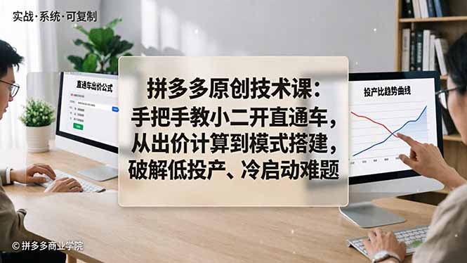 拼多多原创技术课：手把手教小二开直通车，从出价计算到模式搭建，破解低投产、冷启动难题-时光云网创