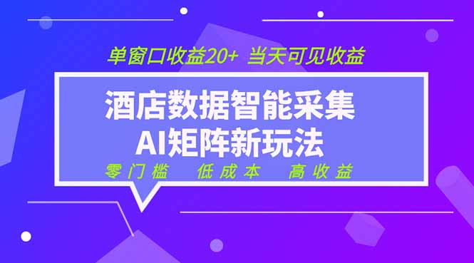 2026酒店数据采集ai智能矩阵新风口 低成本 高收益 当天见收益 单窗口20+-时光云网创