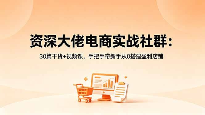 资深大佬电商实战社群：30篇干货+视频课，手把手带新手从0搭建盈利店铺-时光云网创
