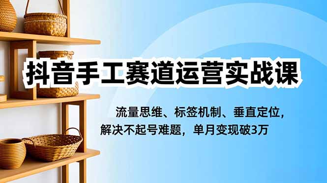 抖音手工赛道运营实战课,流量思维、标签机制、垂直定位,解决不起号难题,单月变现破3万-时光云网创