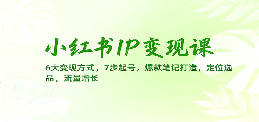 小红书IP变现课:6大变现方式,7步起号,爆款笔记打造,定位选品,流量增长-时光云网创