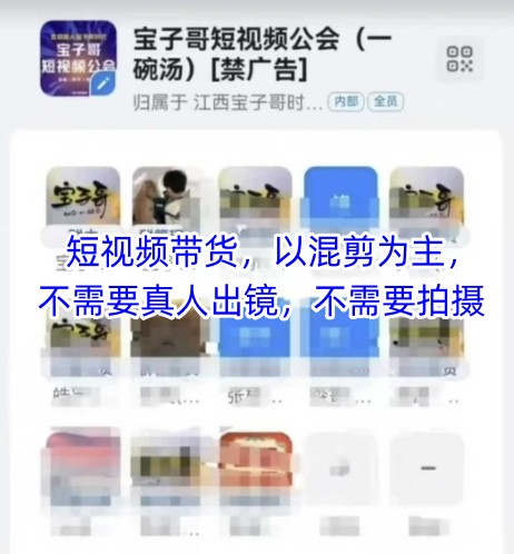 宝子哥头部团队短视频带货，以混剪为主，不需要真人出镜，不需要拍摄【更新26年3月】-时光云网创