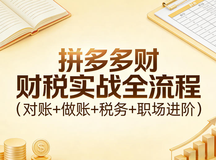 拼多多财税实战全流程(对账+做账+税务+职场进阶)-时光云网创