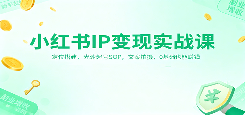 小红书IP变现实战课：定位搭建，光速起号SOP，文案拍摄，0基础也能赚钱-时光云网创