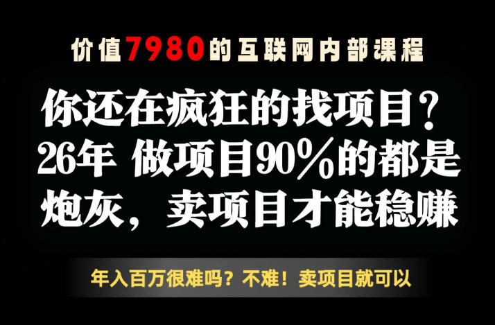 26年请不要疯狂的找项目了,卖项目远比你想象的暴利,你也可以月入10W+【揭秘】-时光云网创