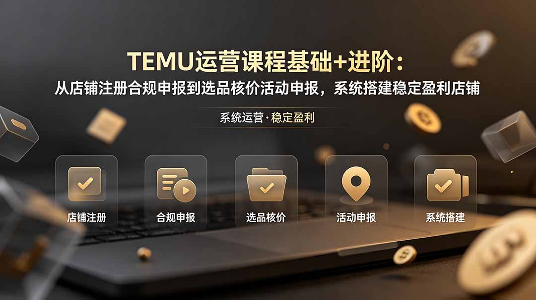 TEMU运营课程(基础+进阶-时光云网创