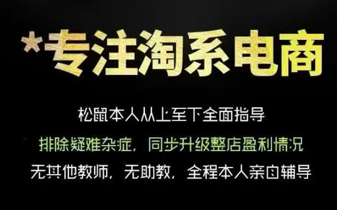 松鼠会电商VIP课程,从基础布局到高阶优化,助你掌握淘宝运营逻辑,提升店铺流量与转化-时光云网创