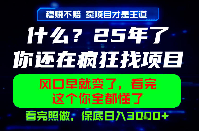 26年，请不要疯狂的找项目做了！卖项目才是真的稳賺不赔，看完照做，保底日入1k+【揭秘】-时光云网创