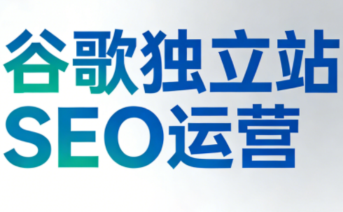 谷歌独立站SEO运营(更新2026)-时光云网创