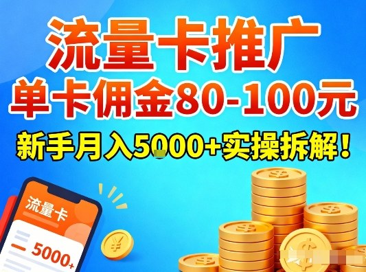 流量卡推广，单卡佣金80-100，新手月入5k+实操拆解！-时光云网创