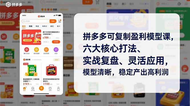拼多多可复制盈利模型课，六大核心打法、实战复盘、灵活应用，模型清晰，稳定产出高利润-时光云网创