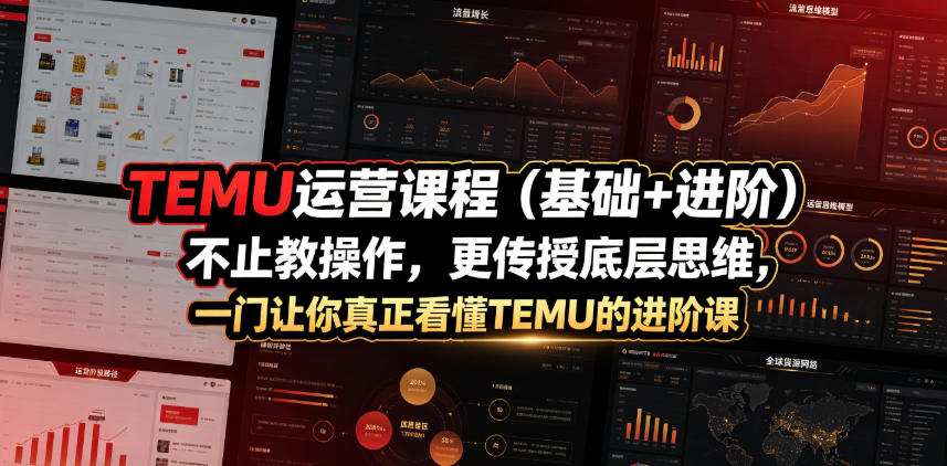 TEMU运营课程(基础+进阶)，不止教操作，更传授底层思维，一门让你真正看懂TEMU的进阶课-时光云网创