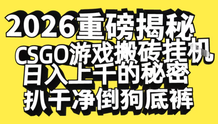 2026开年重磅解密，CSGO游戏搬砖挂G日入1k+的秘密，把倒狗的底裤扒干【揭秘】-时光云网创