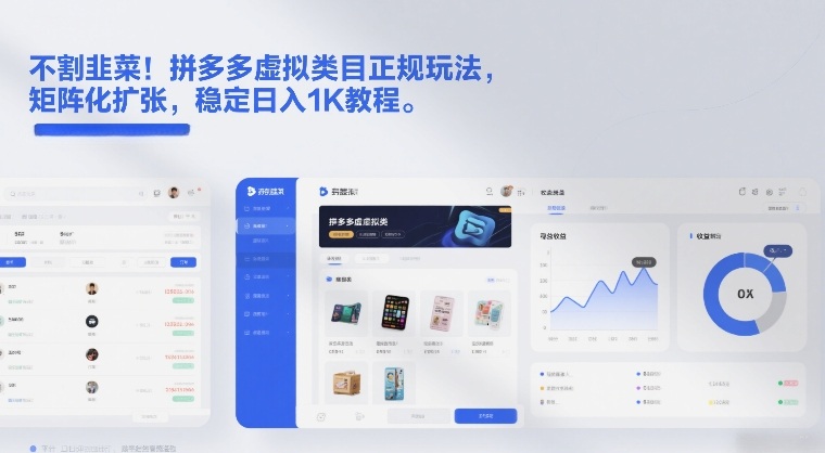 不割韭菜！拼多多虚拟类目正规玩法，矩阵化扩张，稳定日入1K教程【揭秘】-时光云网创
