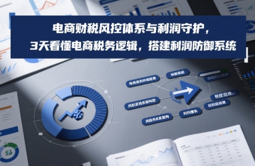 电商财税风控体系与利润守护，3天看懂电商税务逻辑，搭建利润防御系统-时光云网创