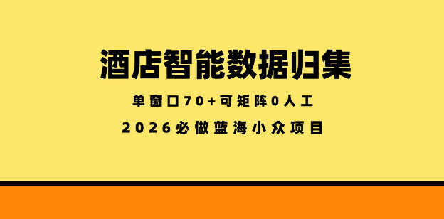 酒店智能数据归集,小众蓝海已经稳定半年之久,单窗口70+零成本矩阵开干【揭秘】-时光云网创