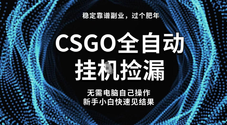 【稳定副业】全球最热门游戏CSGO全自动捡漏，最新玩法，新手小白日入5张+【揭秘】-时光云网创