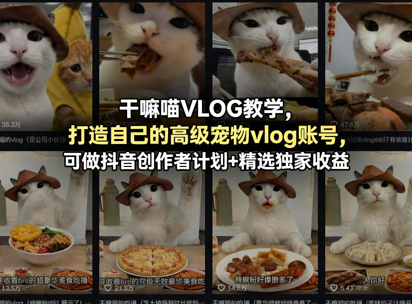 干嘛喵VLOG教学，打造自己的高级宠物vlog账号，可做抖音创作者计划+精选独家收益-时光云网创