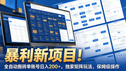 暴利新项目！全自动搬砖单账号日入200+，独家矩阵玩法，保姆级操作【揭秘】-时光云网创