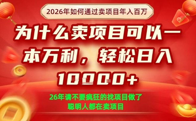 一单净利润1K+，26年想年入100个W，死磕卖项目就够了【揭秘】-时光云网创
