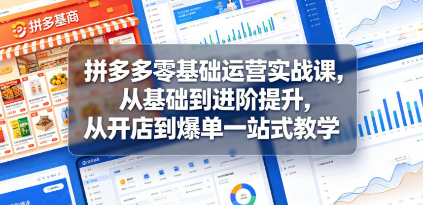 拼多多零基础运营实战课,从基础到进阶提升,从开店到爆单一站式教学-时光云网创