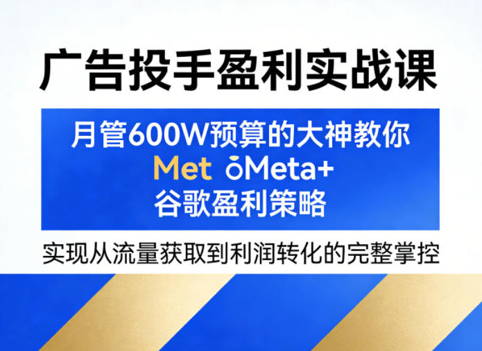 广告投手盈利实战课，月管600W预算的大神教你Meta+谷歌盈利策略，实现从流量获取到利润转化的完整掌控-时光云网创