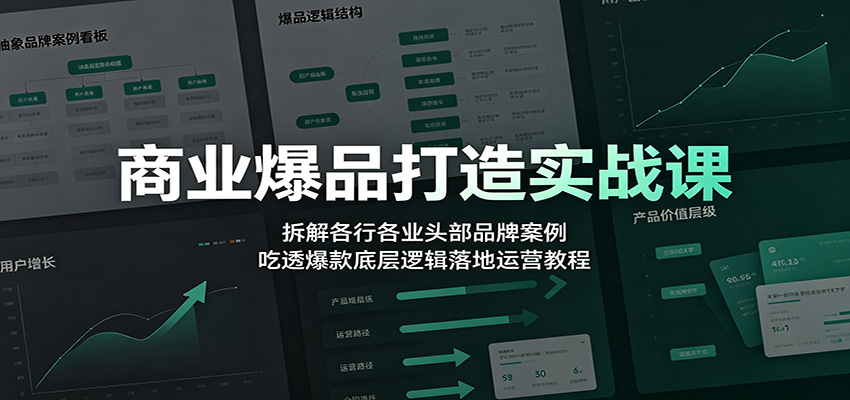 商业爆品打造实战课：拆解各行各业头部品牌案例，吃透爆款底层逻辑落地运营教程-时光云网创