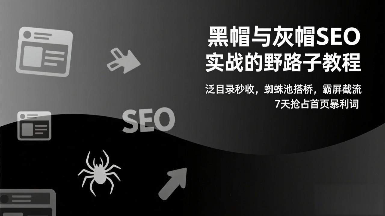 黑帽与灰帽SEO实战的野路子教程：泛目录秒收，蜘蛛池搭桥，霸屏截流，7天抢占首页暴利词-时光云网创