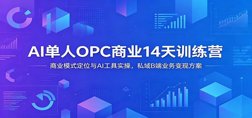 AI单人OPC商业14天训练营：商业模式定位与AI工具实操，私域B端业务变现方案-时光云网创