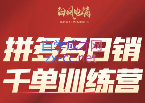 白凤电商·拼多多日销千单训练营(更新2月)-时光云网创