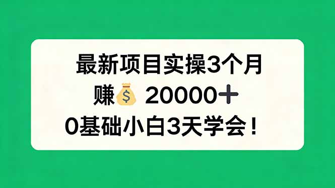 最新项目实操3个月，赚钱20000+，0基础小白3天学会！-时光云网创
