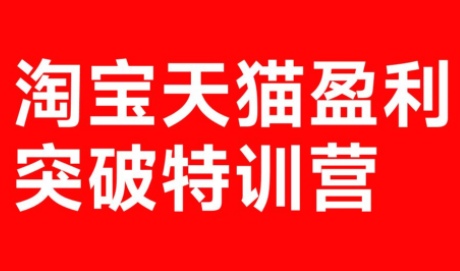 玺承·淘宝天猫盈利突破特训营(25年12月线下课)【音频+字幕】-时光云网创