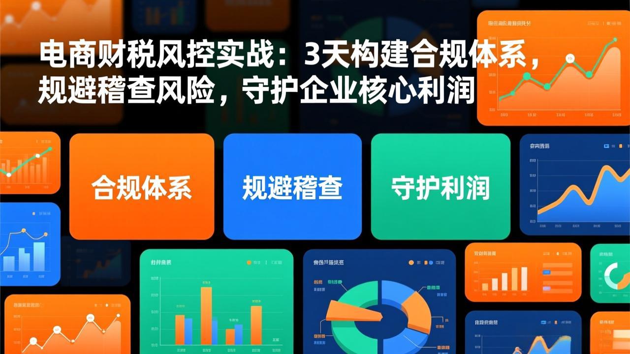 电商财税风控实战：3天构建合规体系，规避稽查风险，守护企业核心利润-时光云网创