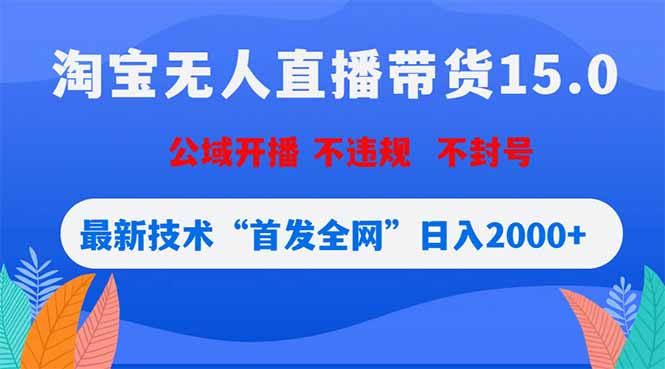 淘宝无人直播带货15.0，不封号，不违规，公域玩法，首发全网日入2000+-时光云网创