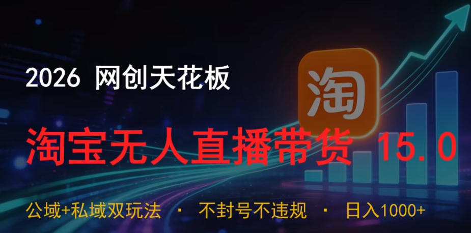 2026网创天花板,淘宝无人直播带货15.0,公域+私域双玩法,日入1k+,不违规不封号【揭秘】-时光云网创