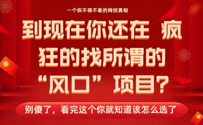 马上26年了，你还在找所谓的风口项目？别傻了，看完这个你全都懂了！【揭秘】-时光云网创