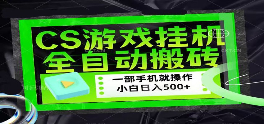 CSGO游戏挂机捡漏搬砖，超稳定的项目，带领1000+小白实现日入500+-时光云网创