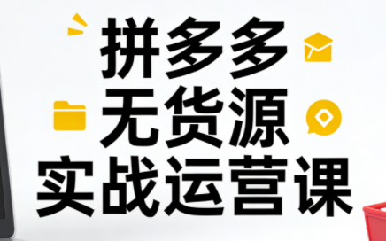 子枫老师·拼多多无货源实战运营课(更新12月)-时光云网创