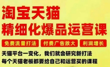 淘宝天猫精细化爆品运营课,免费流量打法-付费广告放大-利润增长-三大核心痛点,一次全部解决-时光云网创